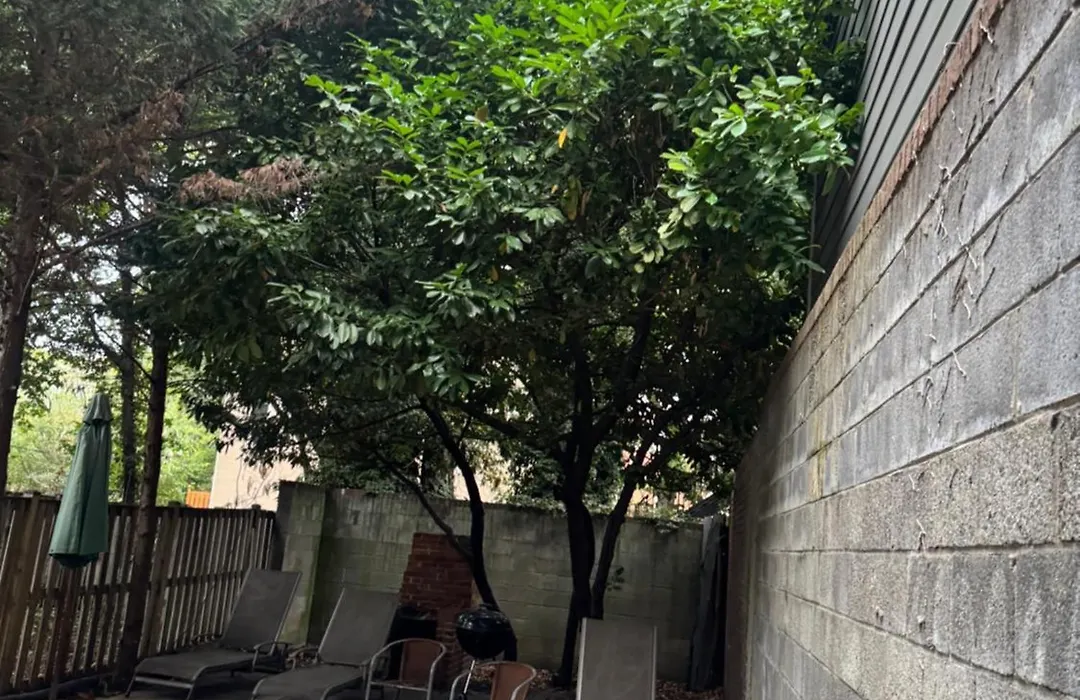 Large Duplex Apt 2Bdrm 1Den-Metro-1