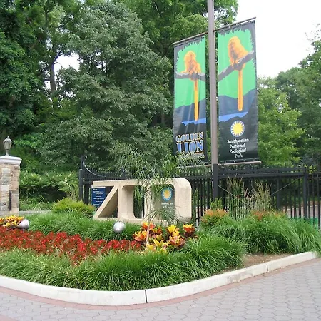 Bethesda Court Hotel-3